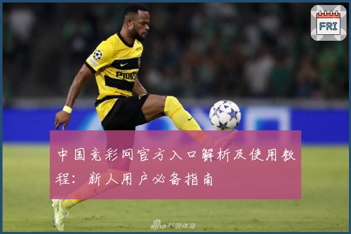 中国竞彩网官方入口解析及使用教程：新人用户必备指南