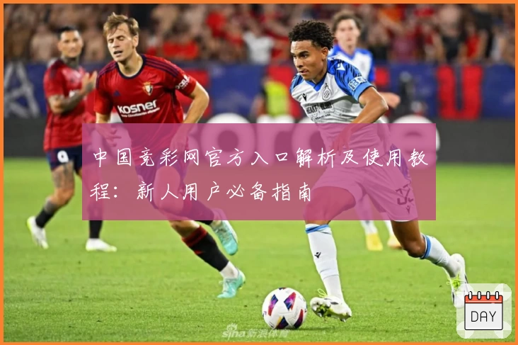 中国竞彩网官方入口解析及使用教程：新人用户必备指南