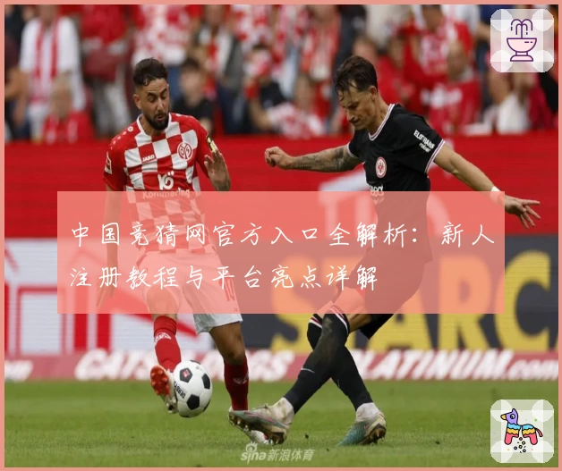 中国竞猜网官方入口全解析：新人注册教程与平台亮点详解