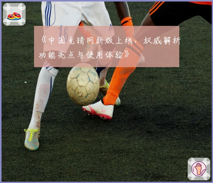 《中国竞猜网新版上线，权威解析功能亮点与使用体验》
