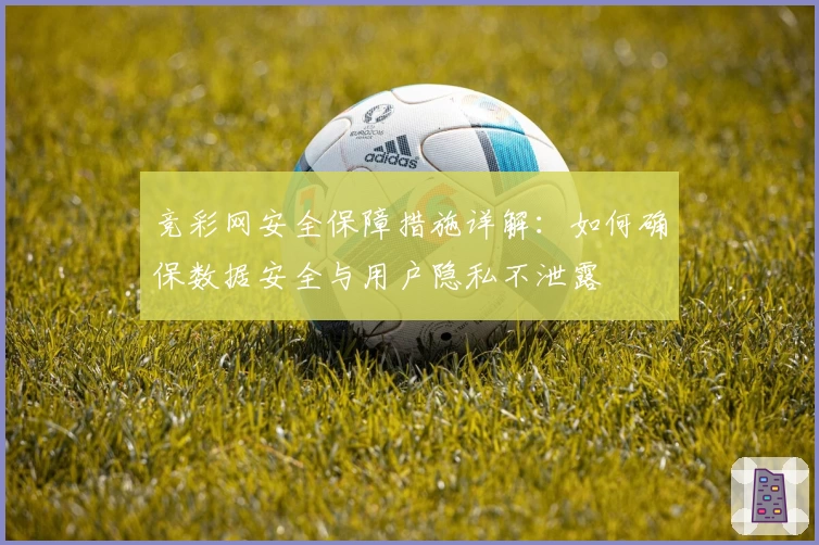 竞彩网安全保障措施详解：如何确保数据安全与用户隐私不泄露